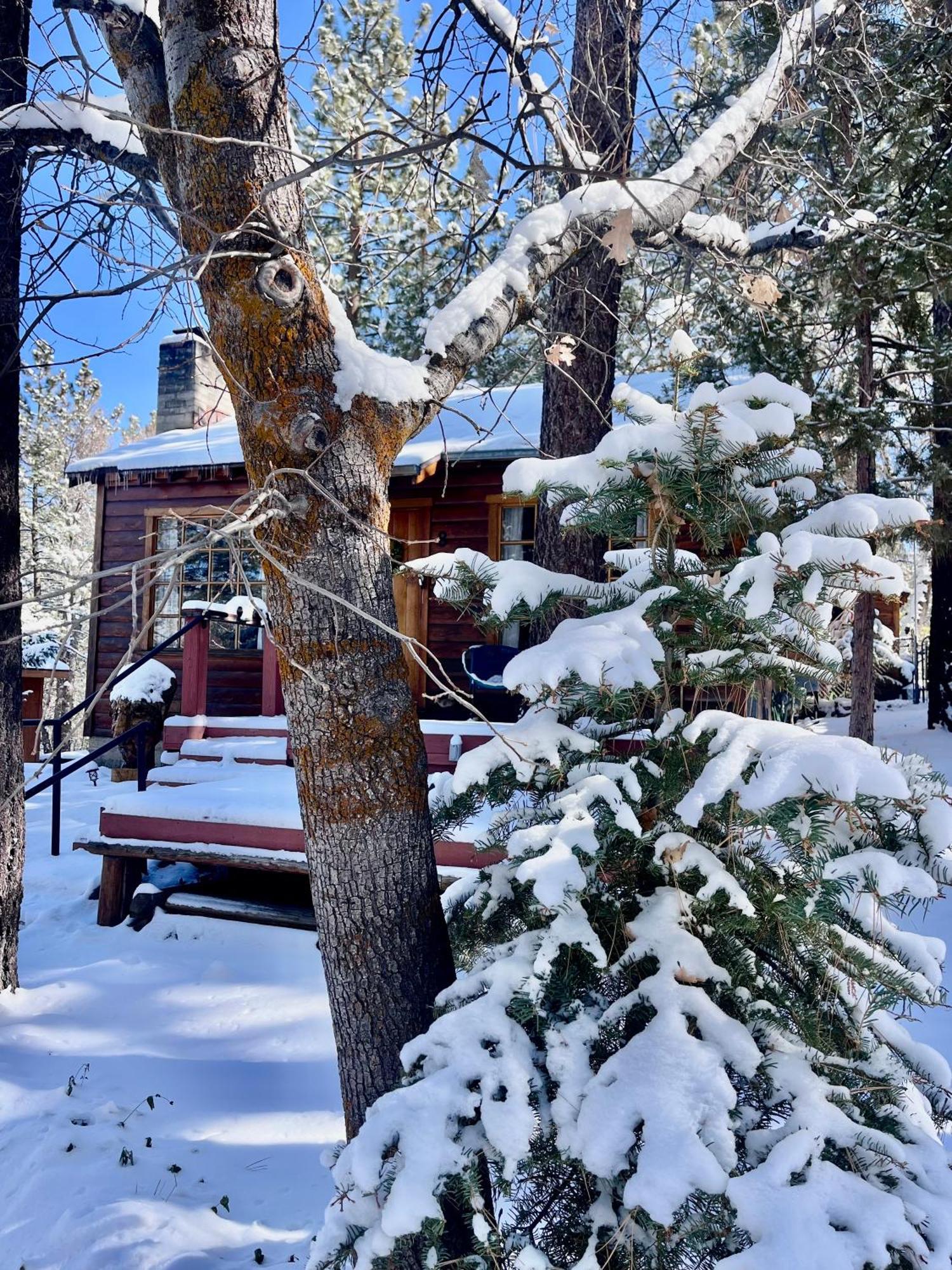 The Nest On Towne Trail - Hot Tub, Bbq, Fire Pit Villa Биг Беър Лейк Екстериор снимка