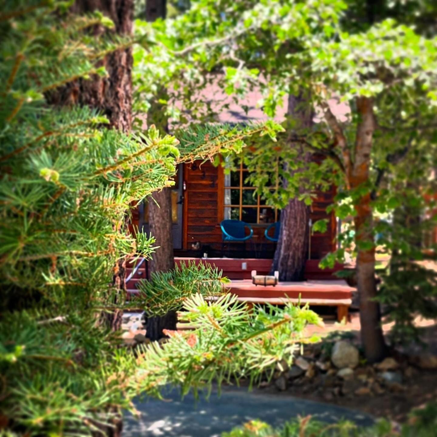 The Nest On Towne Trail - Hot Tub, Bbq, Fire Pit Villa Биг Беър Лейк Екстериор снимка